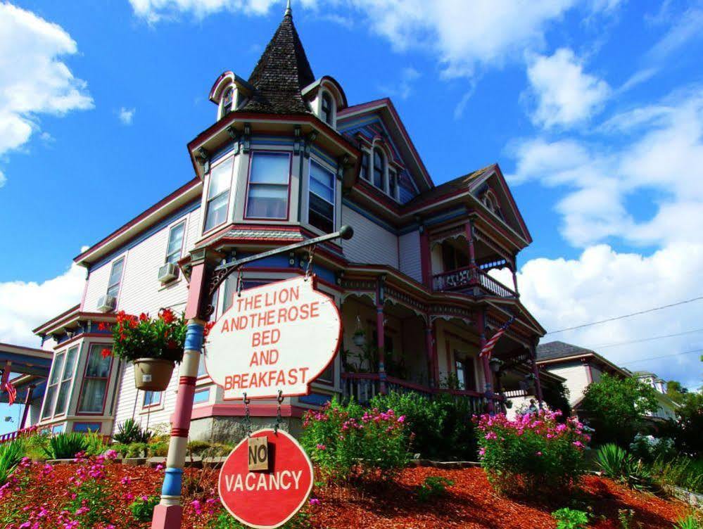 The Lion And The Rose Bed & Breakfast Whitefield Luaran gambar